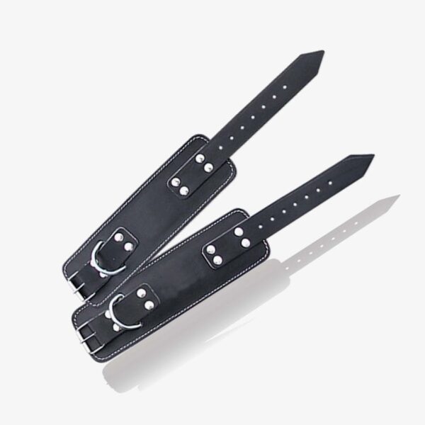 Ankle Straps 16301