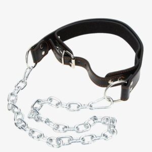 Head Harness 15306