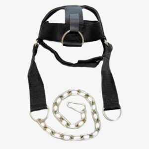 Head Harness 15307