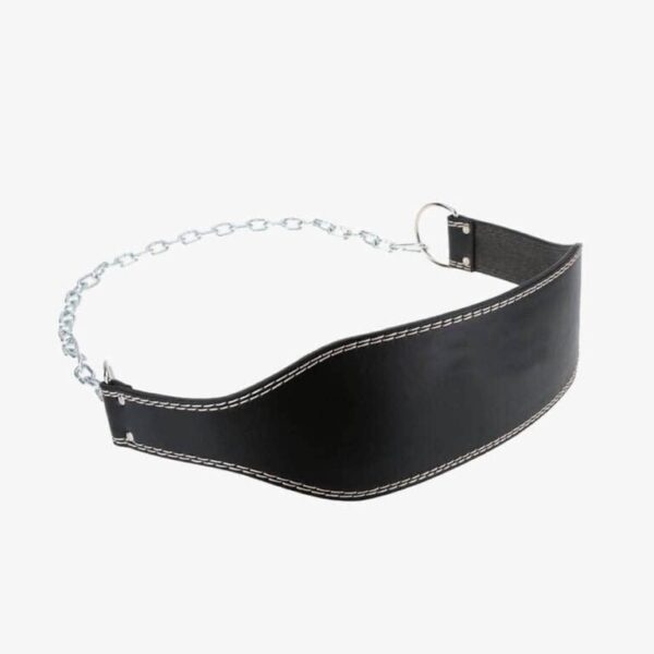Dip Belts 14502