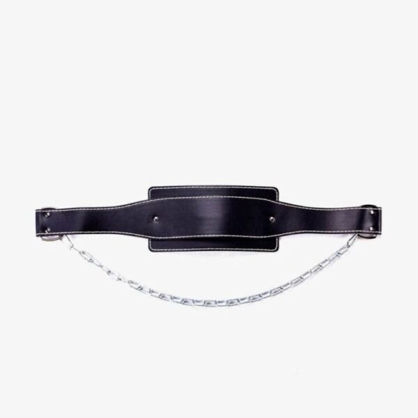 Dip Belts 14503